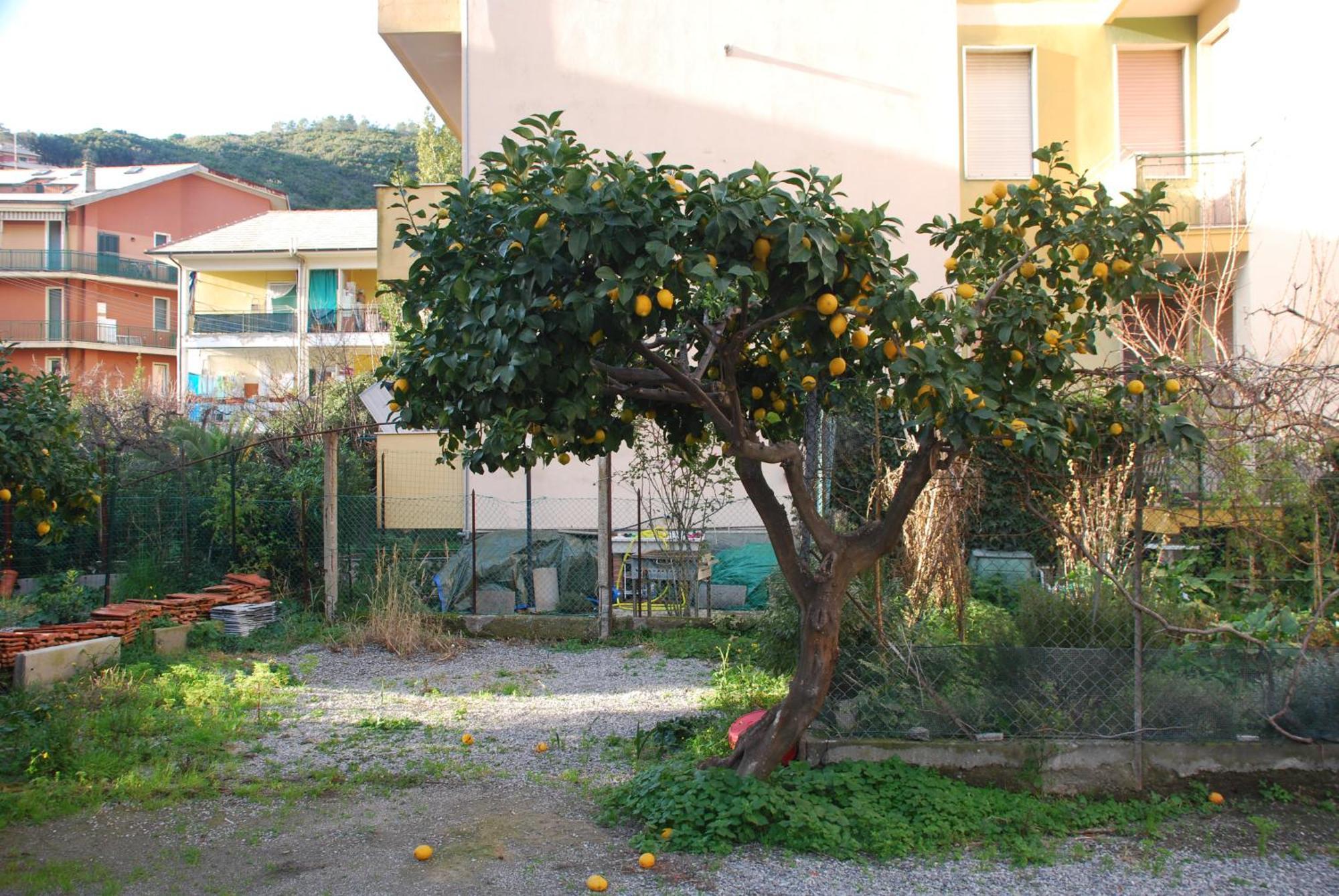 Tinetto Brezza Di Mare Daire Deiva Marina Dış mekan fotoğraf